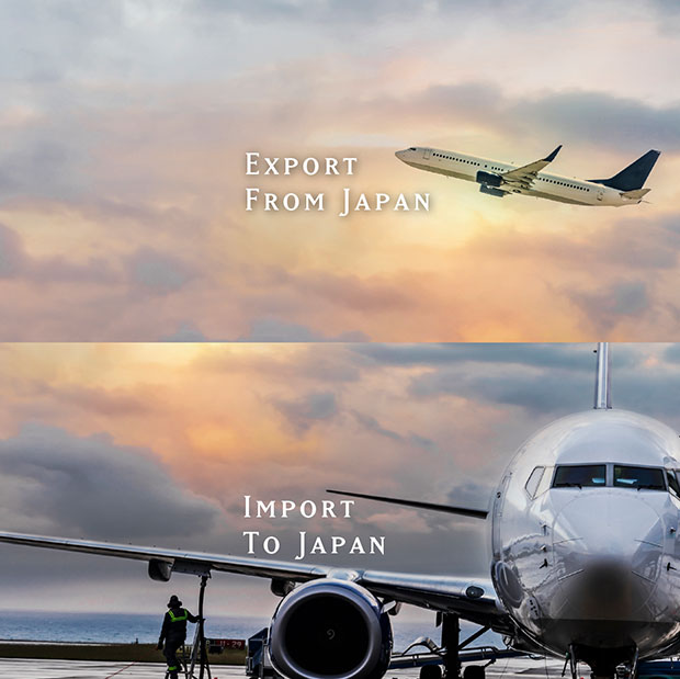 EXPORT FROM JAPAN - IMPORT TO JAPAN