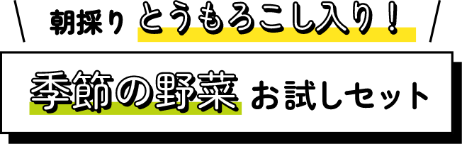 朝採りとうもろこし入り 季節の野菜お試しセット