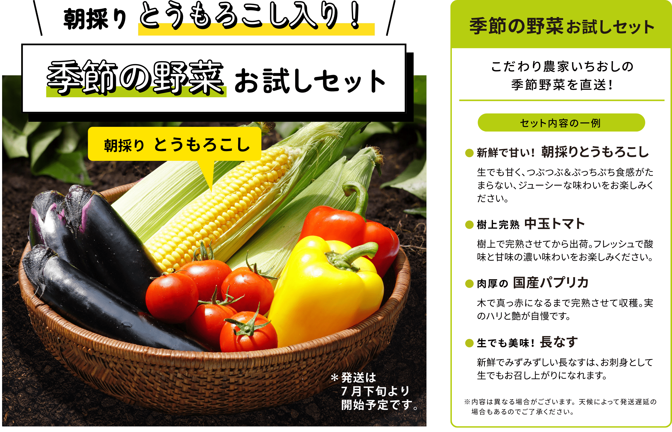 朝採りとうもろこし入り 季節の野菜お試しセット